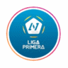 NIC LP
