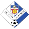 Slavicin logo