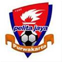 Pelita Jaya logo