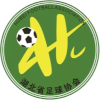 hubei U20 logo