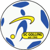 SC Golling logo