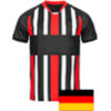 Jahn Regensburg logo