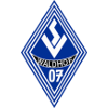 Waldhof Mannheim U19 logo