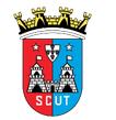 Torreense U17 logo