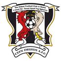 Newi Cefn Druids logo