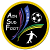 Ain Sud Foot logo