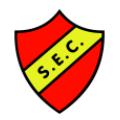 Santana AP (Youth) logo