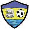Taffs Well logo