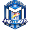 Medgidia logo