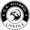 ACS Viitorul Livezile logo