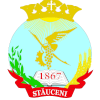 FC Ursidos Stauceni logo