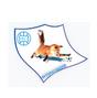 FK Gorno Lisice logo