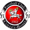 FC Collex Bossy logo