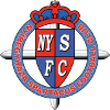 NergihasaU19 logo