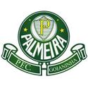 Palmeira RN logo
