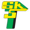 GKS Gornik Leczna (W) logo