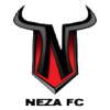 Toros Neza logo