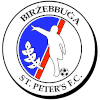 Birzebbuga logo