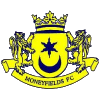 Moneyfields logo