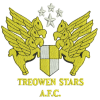 Treowen Stars logo