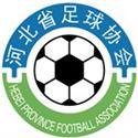 Hebei Youth logo