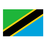 Tanzania U17 logo