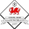 Llanuwchllyn logo