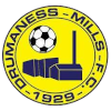 Drumaness Mills logo