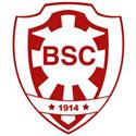 Botafogo BA logo
