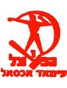 Hapoel Iksal logo