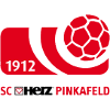 SC Pinkafeld logo