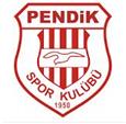 Pendikspor U23 logo