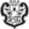 Silves logo