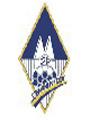 Schwanenstadt logo
