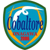 Cobar Torre Onagawa logo