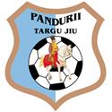 Pandurii Targu-Jiu logo