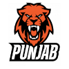 Minerva Punjab logo