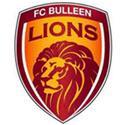 FC Bulleen Lions U20 logo