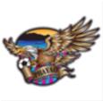Phayao FC logo