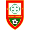 Sanvicenteno logo