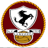Arezzo U19 logo