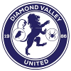 Diamond Valley United logo