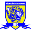 Hodmezovasarhelyi logo