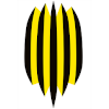 Rukh Vynnyky logo