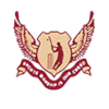 Salkia Fds Asson logo