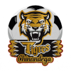 Chinandega FC logo