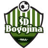 SD Bogojina logo