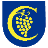 Karlova Ves U19 logo