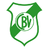 Bella Vista BB logo
