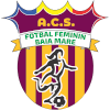 Independenta Baia Mare (W) logo